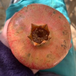 Meet your Posher, Rashida